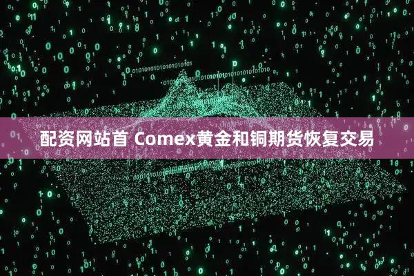 配资网站首 Comex黄金和铜期货恢复交易