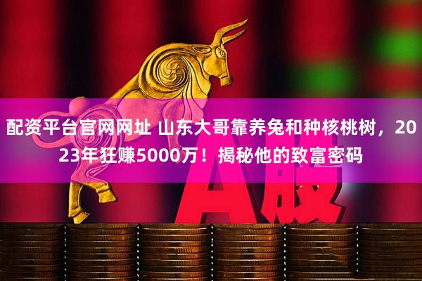 配资平台官网网址 山东大哥靠养兔和种核桃树，2023年狂赚5000万！揭秘他的致富密码